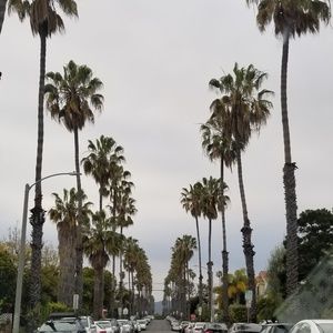 Meet your Posher, Brielle